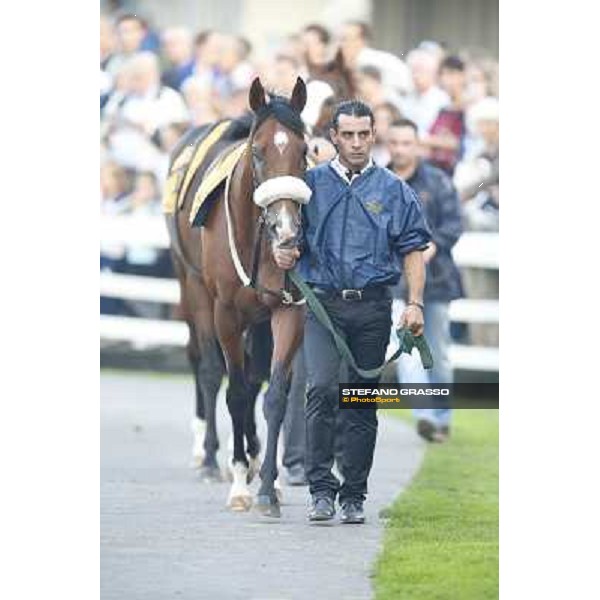 Gran Premio del Jockey Club Biz the Nurse Milano,San Siro racecourse 19 otct.2014 photo Stefano Grasso/Trenno srl