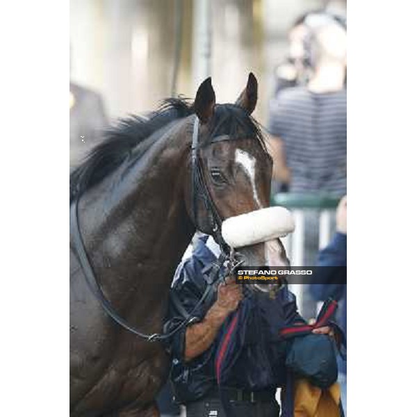 Gran Premio del Jockey Club Dylan Mouth Milano,San Siro racecourse 19 otct.2014 photo Stefano Grasso/Trenno srl