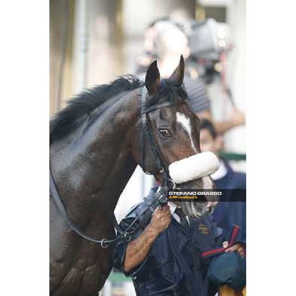 Gran Premio del Jockey Club Dylan Mouth Milano,San Siro racecourse 19 otct.2014 photo Stefano Grasso/Trenno srl