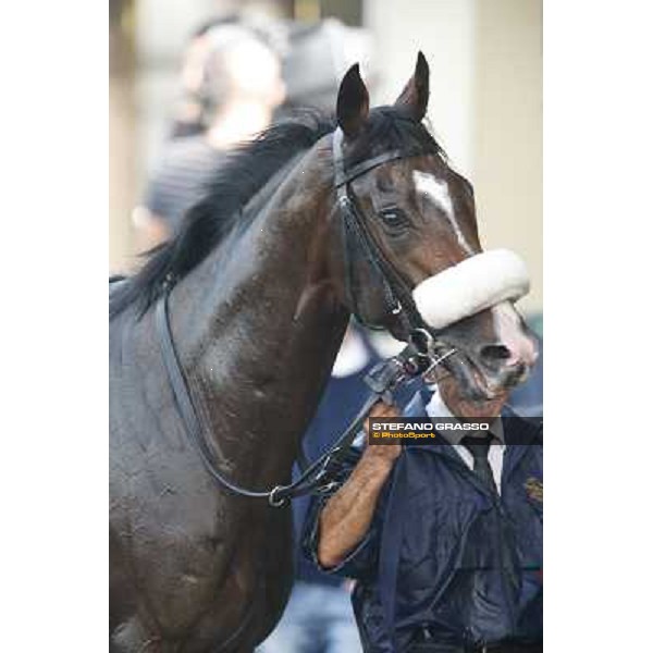 Gran Premio del Jockey Club Dylan Mouth Milano,San Siro racecourse 19 otct.2014 photo Stefano Grasso/Trenno srl