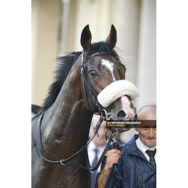 Gran Premio del Jockey Club Dylan Mouth Milano,San Siro racecourse 19 otct.2014 photo Stefano Grasso/Trenno srl