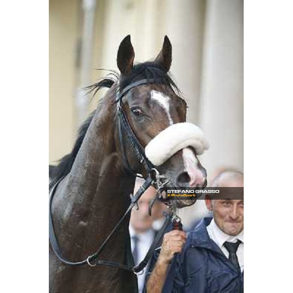 Gran Premio del Jockey Club Dylan Mouth Milano,San Siro racecourse 19 otct.2014 photo Stefano Grasso/Trenno srl