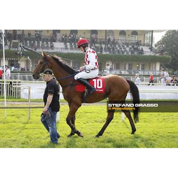 Gran Corsa Siepi di Milano Milano,San Siro racecourse 19 otct.2014 photo Stefano Grasso/Trenno srl