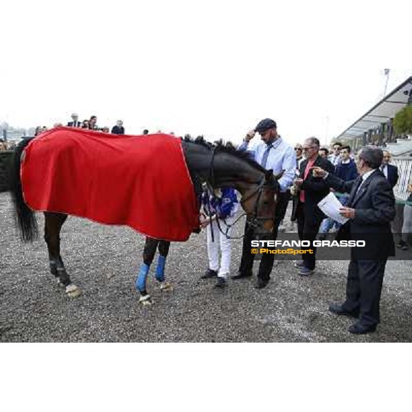 Gran Corsa Siepi di Milano Milano,San Siro racecourse 19 otct.2014 photo Stefano Grasso/Trenno srl