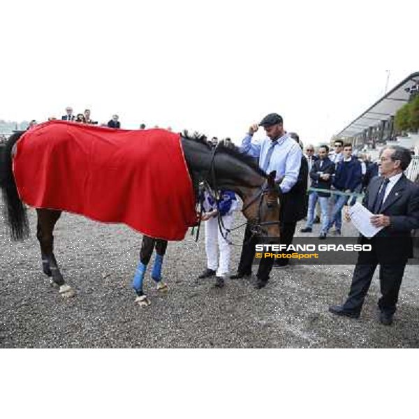 Gran Corsa Siepi di Milano Milano,San Siro racecourse 19 otct.2014 photo Stefano Grasso/Trenno srl