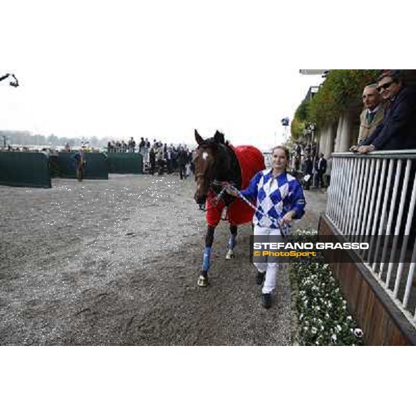 Gran Corsa Siepi di Milano Milano,San Siro racecourse 19 otct.2014 photo Stefano Grasso/Trenno srl