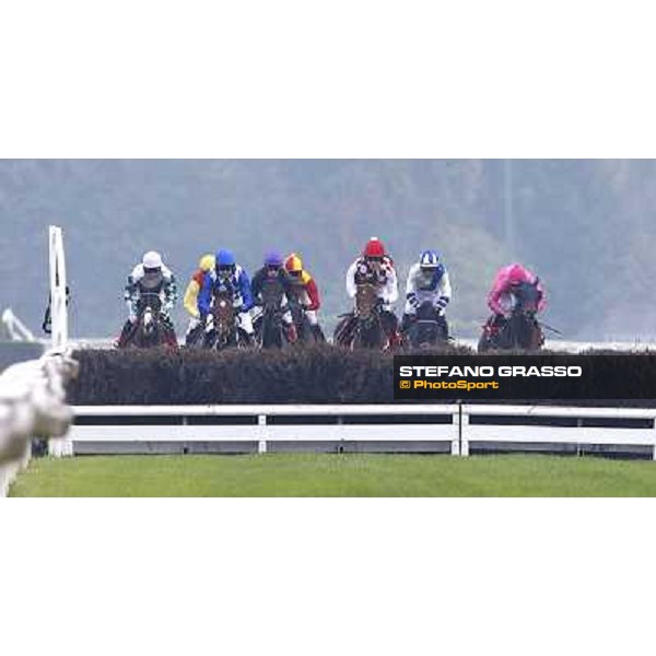 Gran Corsa Siepi di Milano Milano,San Siro racecourse 19 otct.2014 photo Stefano Grasso/Trenno srl