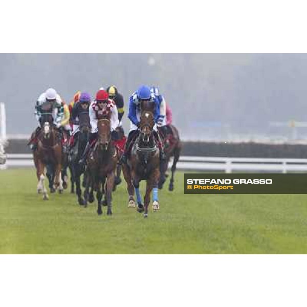 Gran Corsa Siepi di Milano Milano,San Siro racecourse 19 otct.2014 photo Stefano Grasso/Trenno srl
