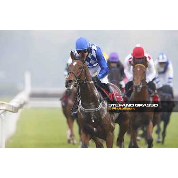 Gran Corsa Siepi di Milano Milano,San Siro racecourse 19 otct.2014 photo Stefano Grasso/Trenno srl