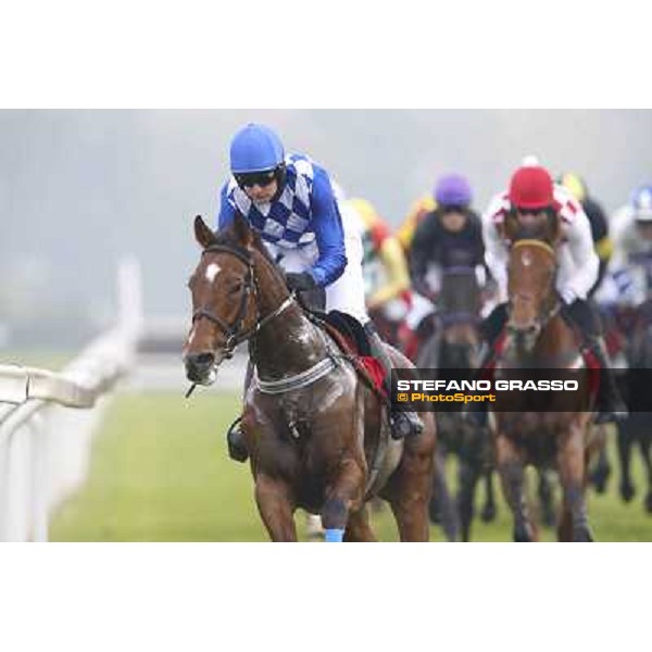 Gran Corsa Siepi di Milano Milano,San Siro racecourse 19 otct.2014 photo Stefano Grasso/Trenno srl