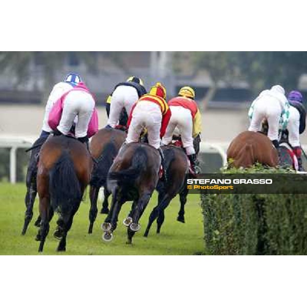 Gran Corsa Siepi di Milano Milano,San Siro racecourse 19 otct.2014 photo Stefano Grasso/Trenno srl