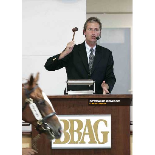 BBAG selected sales Iffezheim Baden Baden, 3rd september 2005 ph. Stefano Grasso