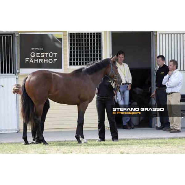 BBAG selected sales Iffezheim Baden Baden, 3rd september 2005 ph. Stefano Grasso