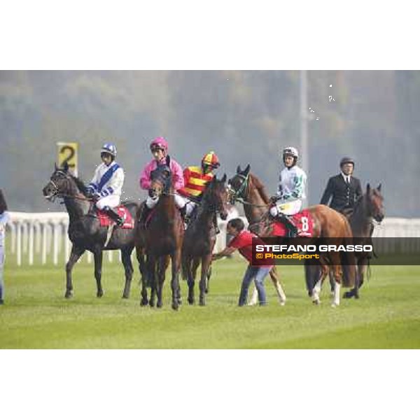 Gran Corsa Siepi di Milano Milano,San Siro racecourse 19 otct.2014 photo Stefano Grasso/Trenno srl