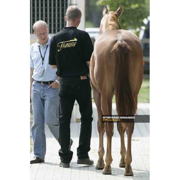 BBAG selected sales Iffezheim Baden Baden, 3rd september 2005 ph. Stefano Grasso