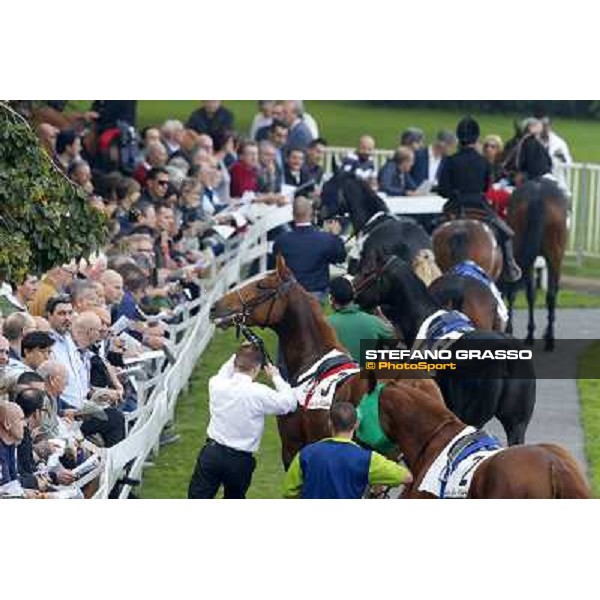 Premio Omenoni Fabio Branca and Harlem Shake Milano,San Siro racecourse 19 otct.2014 photo Stefano Grasso/Trenno srl