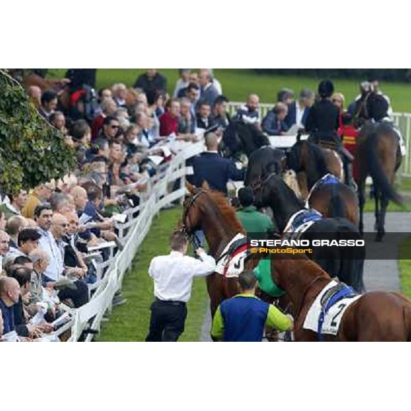 Premio Omenoni Fabio Branca and Harlem Shake Milano,San Siro racecourse 19 otct.2014 photo Stefano Grasso/Trenno srl