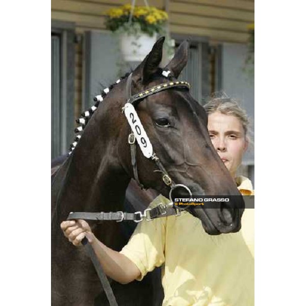 BBAG selected sales Iffezheim Baden Baden, 3rd september 2005 ph. Stefano Grasso