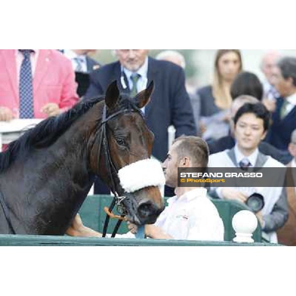 Premio Dormello Cristian Demuro and Fontanelice Milano,San Siro racecourse 19 otct.2014 photo Stefano Grasso/Trenno srl