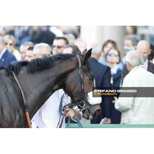 Premio Dormello Cristian Demuro and Fontanelice Milano,San Siro racecourse 19 otct.2014 photo Stefano Grasso/Trenno srl