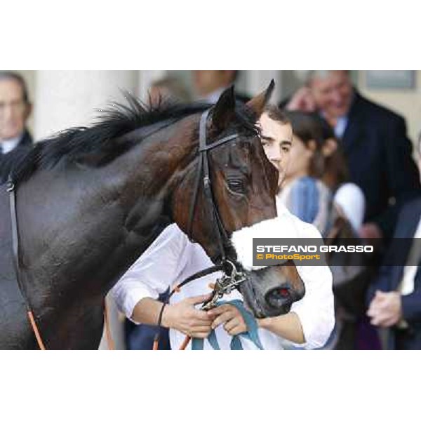 Premio Dormello Cristian Demuro and Fontanelice Milano,San Siro racecourse 19 otct.2014 photo Stefano Grasso/Trenno srl