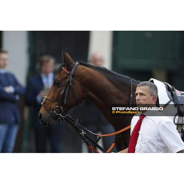 Premio del Piazzale Felician Milano,San Siro racecourse 19 otct.2014 photo Stefano Grasso/Trenno srl