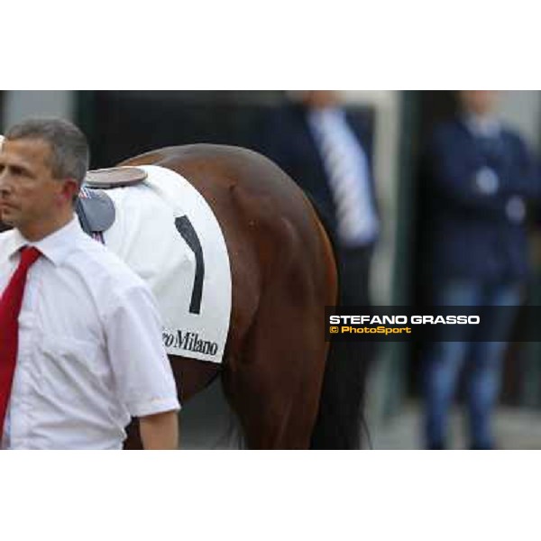 Premio del Piazzale Felician Milano,San Siro racecourse 19 otct.2014 photo Stefano Grasso/Trenno srl