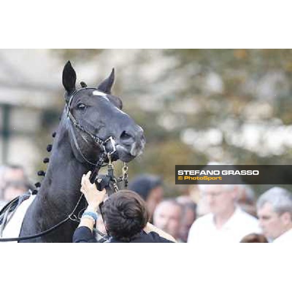 Premio del Piazzale Salford Secret Milano,San Siro racecourse 19 otct.2014 photo Stefano Grasso/Trenno srl