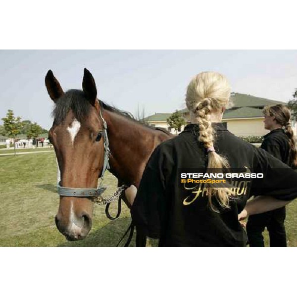 BBAG selected sales Iffezheim Baden Baden, 3rd september 2005 ph. Stefano Grasso