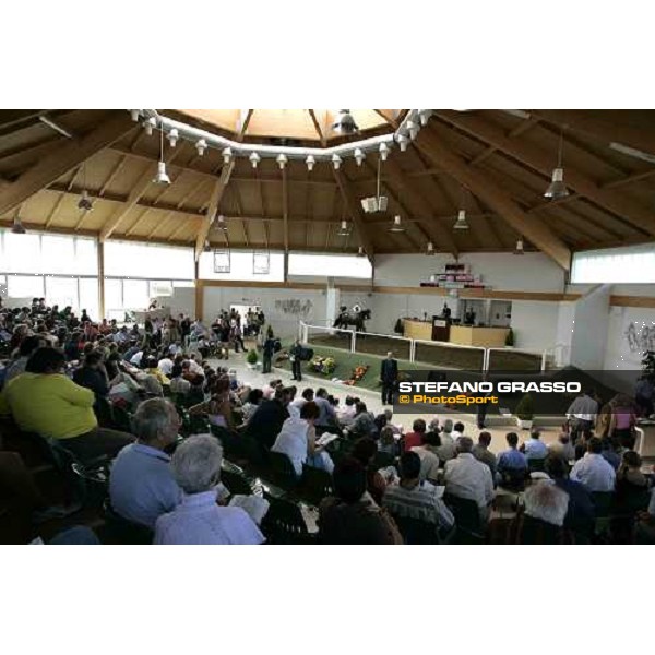 BBAG selected sales Iffezheim Baden Baden, 3rd september 2005 ph. Stefano Grasso