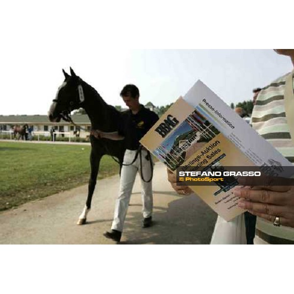 BBAG selected sales Iffezheim Baden Baden, 3rd september 2005 ph. Stefano Grasso