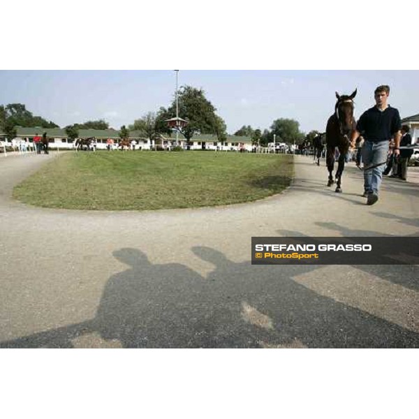 BBAG selected sales Iffezheim Baden Baden, 3rd september 2005 ph. Stefano Grasso