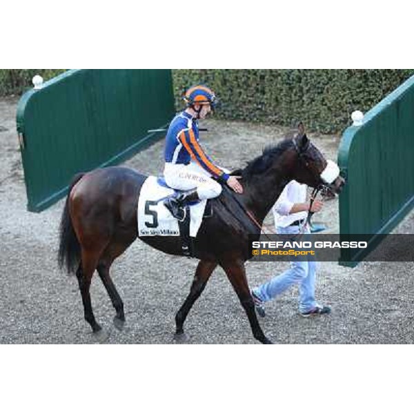 Cristian Demuro on Fontanelice wins the Premio Dormello Milano,San Siro racecourse 19 otct.2014 photo Domenico Savi/Grasso/Trenno srl