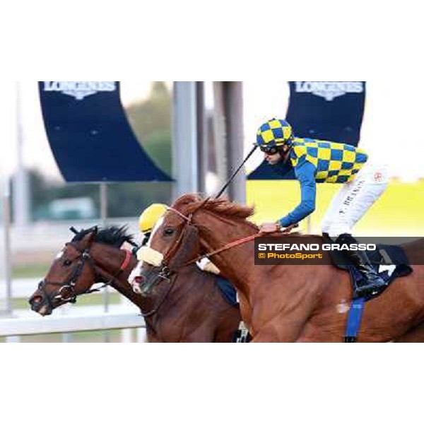 Fabio Branca and Final Score win the Premio Longines Lydia Tesio Roma.Capannelle racecourse 26th october 2014 ph.Domenico Savi/Grasso