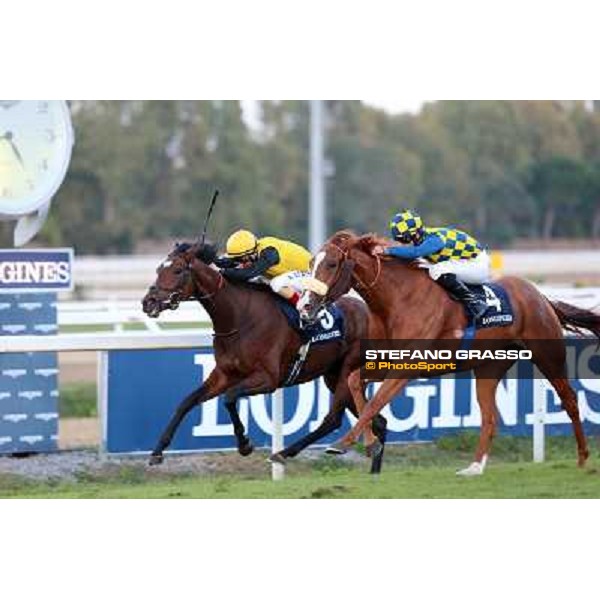 Fabio Branca and Final Score win the Premio Longines Lydia Tesio Roma.Capannelle racecourse 26th october 2014 ph.Domenico Savi/Grasso