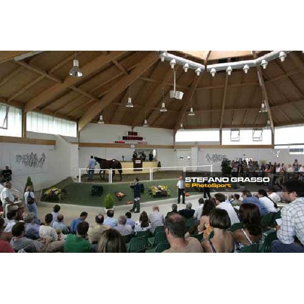 BBAG selected sales Iffezheim Baden Baden, 3rd september 2005 ph. Stefano Grasso