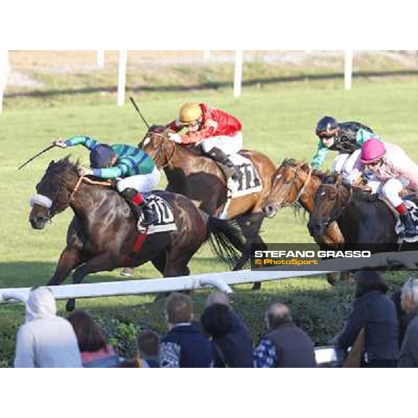 Dario Vargiu on Spicy Jam wins the Premio Ubaldo Pandolfi Roma.Capannelle racecourse 26th october 2014 ph.Stefano Grasso