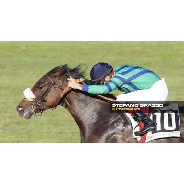 Dario Vargiu on Spicy Jam wins the Premio Ubaldo Pandolfi Roma.Capannelle racecourse 26th october 2014 ph.Stefano Grasso