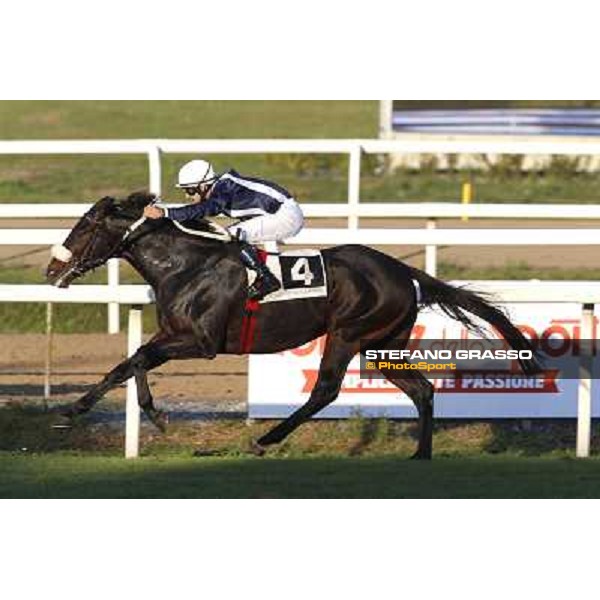 Fabio Branca on Candiani Street wins the Premio Nearco-Fiabaday 2014 Roma.Capannelle racecourse 26th october 2014 ph.Stefano Grasso