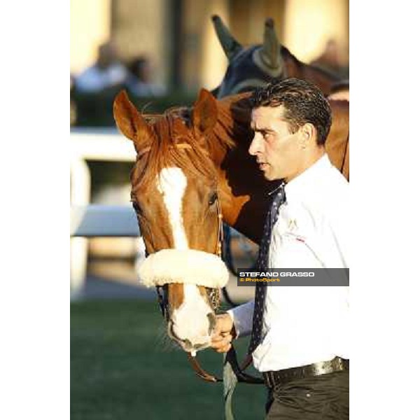 a portrait of Final Score Roma.Capannelle racecourse 26th october 2014 ph.Stefano Grasso