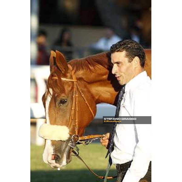 a portrait of Final Score Roma.Capannelle racecourse 26th october 2014 ph.Stefano Grasso