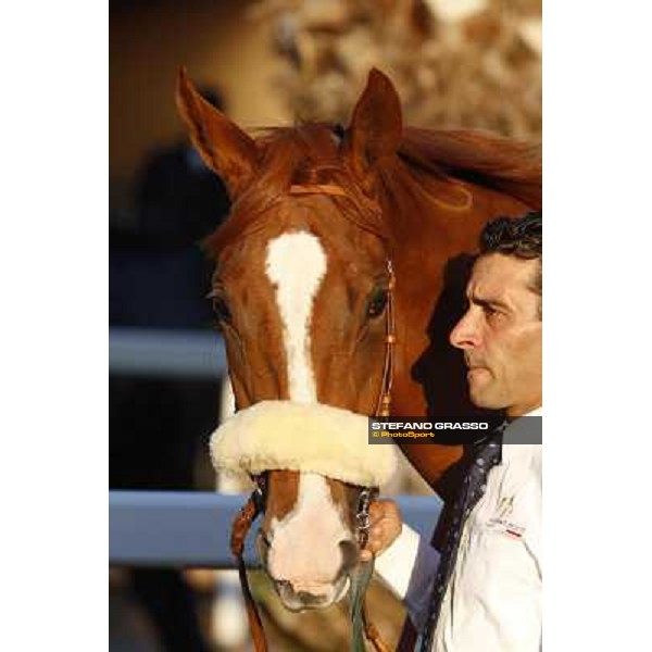 a portrait of Final Score Roma.Capannelle racecourse 26th october 2014 ph.Stefano Grasso