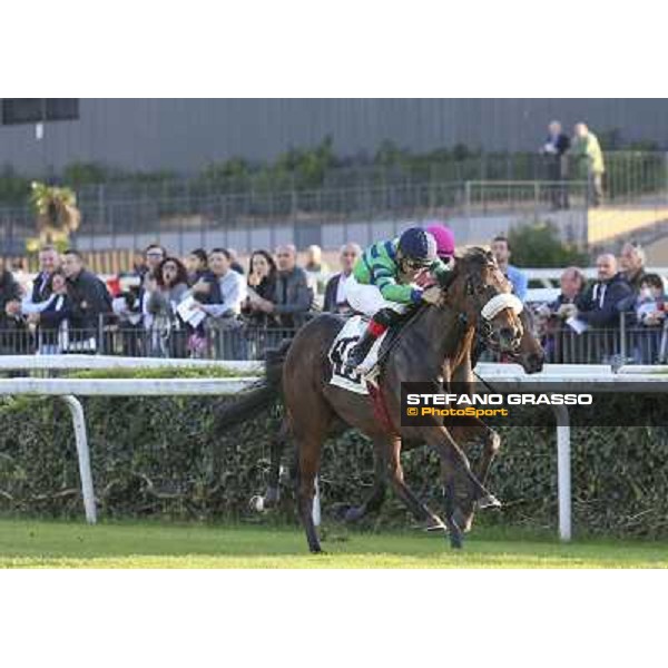 Dario Vargiu on Spicy Jam wins the Premio Ubaldo Pandolfi Roma.Capannelle racecourse 26th october 2014 ph.Domenico Savi/Grasso