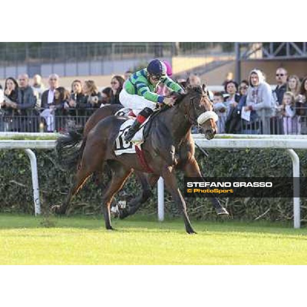 Dario Vargiu on Spicy Jam wins the Premio Ubaldo Pandolfi Roma.Capannelle racecourse 26th october 2014 ph.Domenico Savi/Grasso