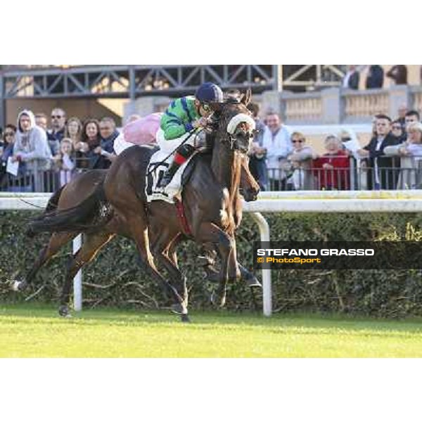Dario Vargiu on Spicy Jam wins the Premio Ubaldo Pandolfi Roma.Capannelle racecourse 26th october 2014 ph.Domenico Savi/Grasso