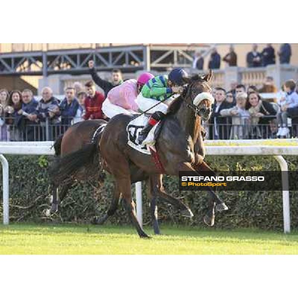 Dario Vargiu on Spicy Jam wins the Premio Ubaldo Pandolfi Roma.Capannelle racecourse 26th october 2014 ph.Domenico Savi/Grasso