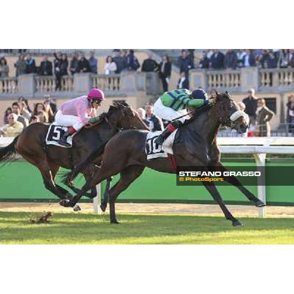 Dario Vargiu on Spicy Jam wins the Premio Ubaldo Pandolfi Roma.Capannelle racecourse 26th october 2014 ph.Domenico Savi/Grasso