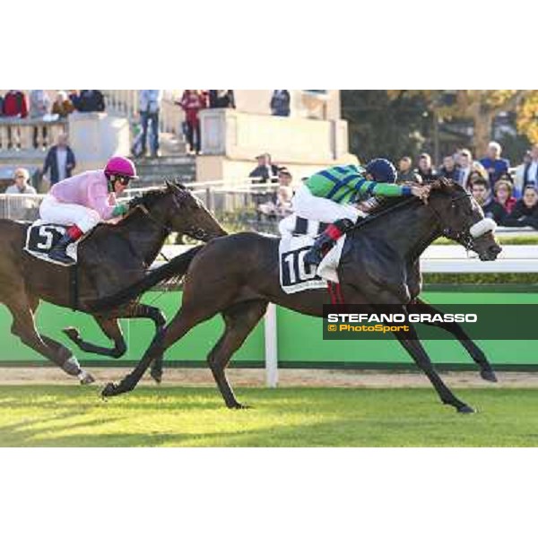 Dario Vargiu on Spicy Jam wins the Premio Ubaldo Pandolfi Roma.Capannelle racecourse 26th october 2014 ph.Domenico Savi/Grasso