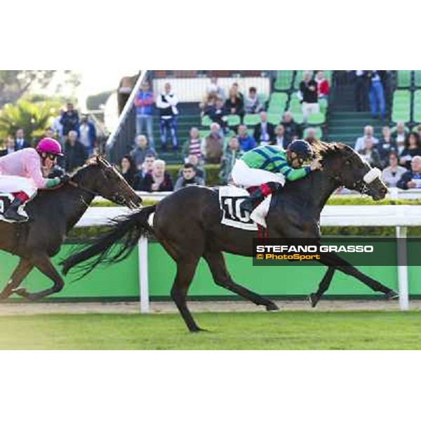 Dario Vargiu on Spicy Jam wins the Premio Ubaldo Pandolfi Roma.Capannelle racecourse 26th october 2014 ph.Domenico Savi/Grasso