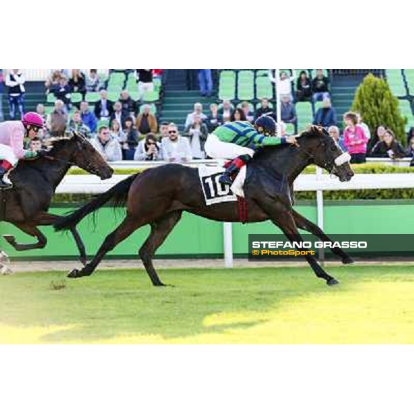 Dario Vargiu on Spicy Jam wins the Premio Ubaldo Pandolfi Roma.Capannelle racecourse 26th october 2014 ph.Domenico Savi/Grasso